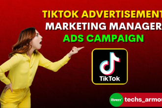 do tiktok advertisement, marketing manager, ads campaign