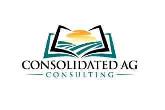 create modern business and consulting logo
