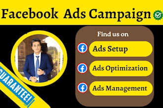 be your facebook ads campaign manager, run fb ad