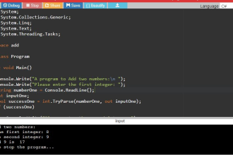 handle computer programming assignments