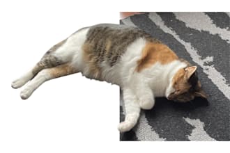 remove the background of images