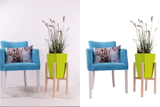 image background removal or erase  superfast