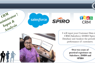 be your permanent CRM administrator