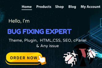 be an expert wordpress bug fix or wordpress fix any errors
