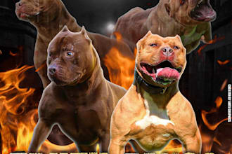 do graphic work for all events, especially animals