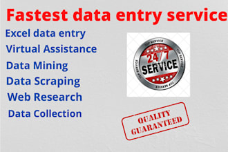 do data entry data mining project with accuracy