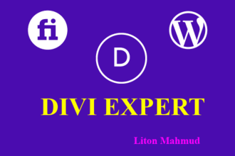 prepare your divi theme and full customize your divi theme