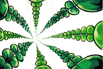 graphic design illustrations for everyone