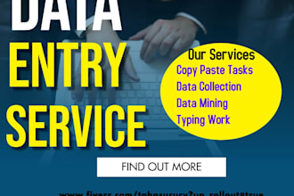 be your multitasking virtual assistant, data entry works