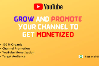 grow and promote your channel to get monetized
