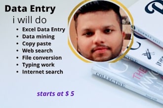 do fast copy paste, typing work, data enrty and PDF to excel work
