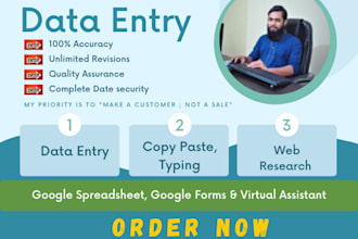 do perfect data entry, typing, web research and copy paste