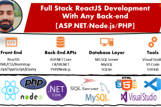 build beautiful react js applications using asp dot net apis