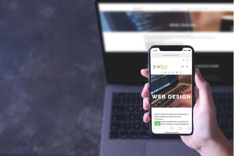 build a professional website design or dropshipping shopify store