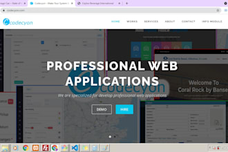 develop a unique and modern responsive website design