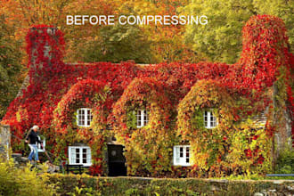 compress and reduce any video in any format just in 80 mint