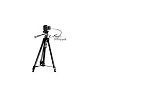 logo designs with banner