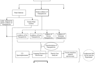 design a flowchart, infographic, and graphical representation of your work