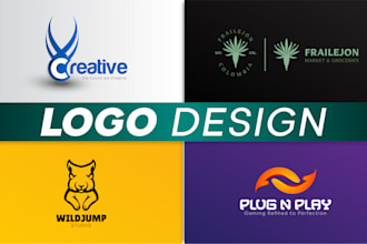 provide professional logo design services