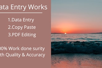 get your data entry work done with accuracy