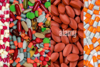 provide the best pharmacology articles