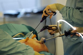 prove the best articles and assignment in medical surgical