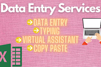 do accurate data entry, copy paste, typing in low price