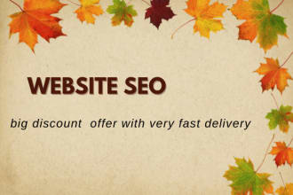 any website seo report with low price
