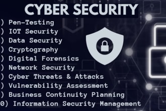 provide information security, vulnerability assessment, cybersecurity, forensics