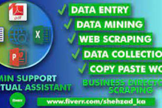 do freelance data entry work and virtual assistant