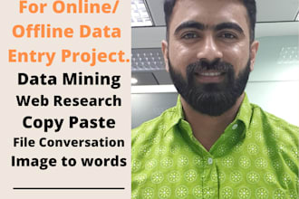 be your virtual assistant for data entry work