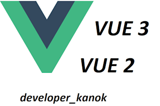 develop software with vue js 3