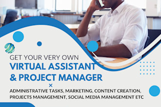 be your professional virtual assistant and project manager