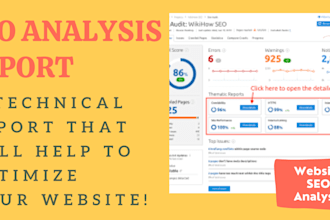 provide a detailed and professional SEO report after analysis