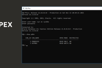 provide remote tech support and help you install oracle apex