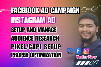 set up facebook and instagram ads for leads, sales, fb marketing