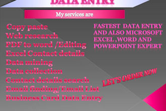 do fastest data entry in one day and your virtual assistant