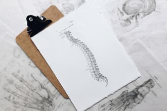 new anatomy assignments for university