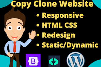 copy clone or redesign your website professionally