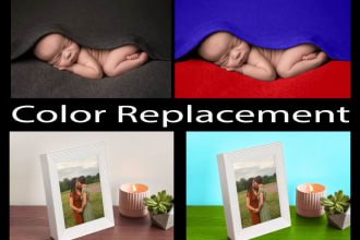 best color replace or change services