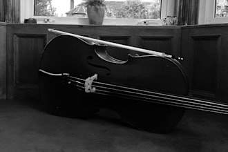 play music at weddings and events