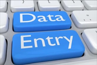 be your virtual assistant for data entry,copy paste and web research