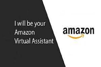 be amazon fba wholesale virtual assistant