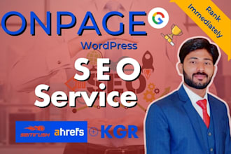 do wordpress onpage SEO service