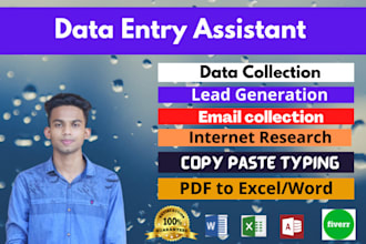 do perfect data entry, wed research and fast excel typing