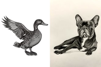 draw pencil sketch of your dog, cat, animal illustration