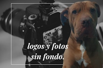 casi todo tipo de trabajo digital