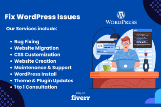 fix your wordpress issues and problems