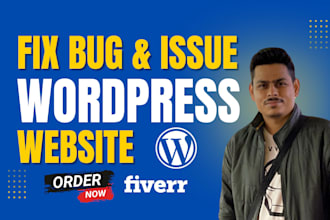 fix your wordpress issues and problems