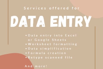 execute high quallity data entry requests